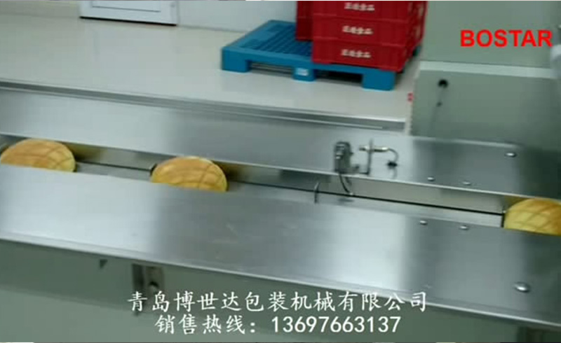 單個菠蘿包充氮氣包裝